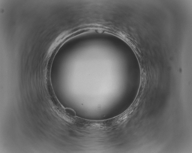 X0000068270151200604211119