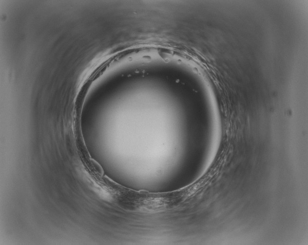 X0000068270152200604211119