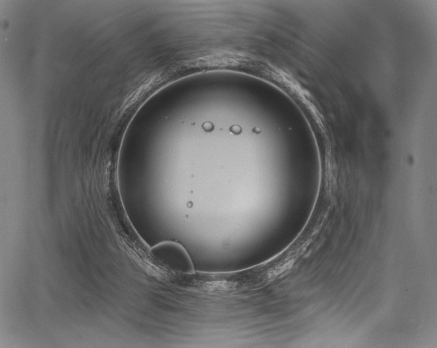 X0000068270153200604211119