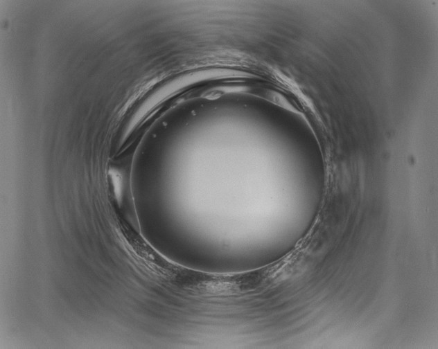 X0000068270154200604211119