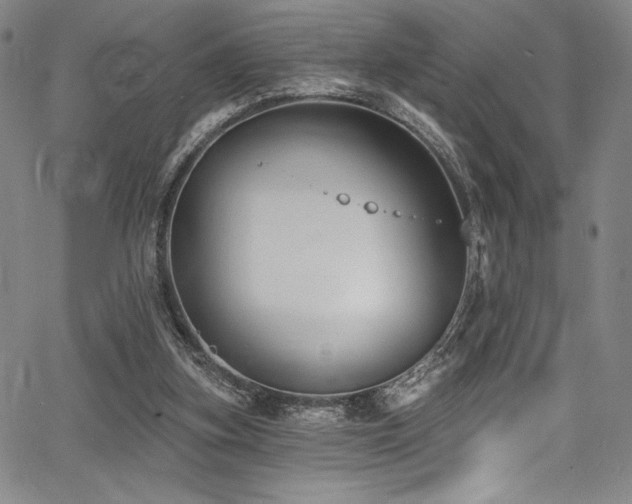 X0000068270155200604211119