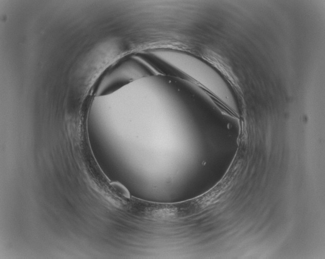 X0000068270156200604211119