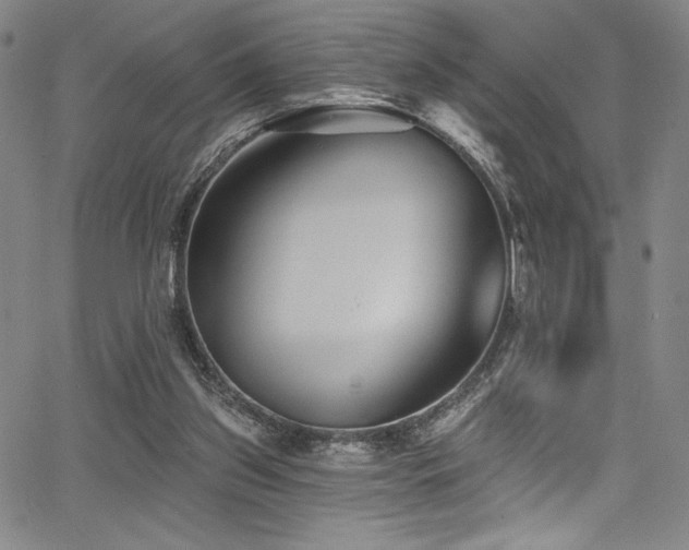 X0000068270157200604211119