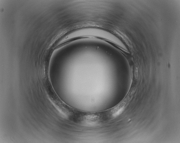 X0000068270158200604211119