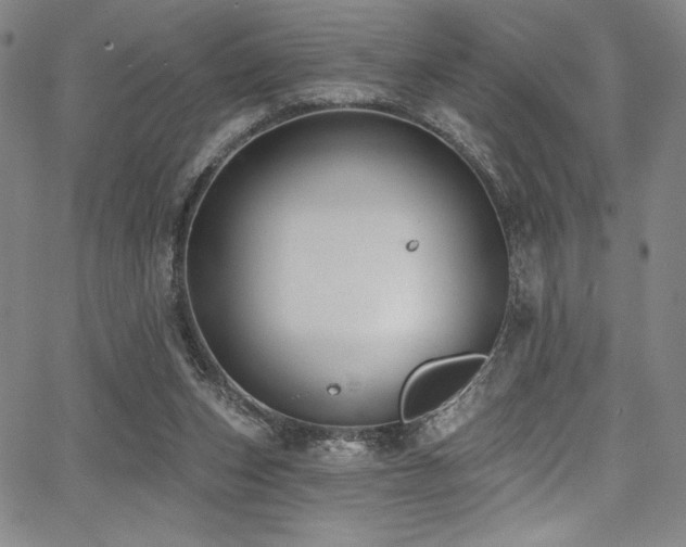 X0000068270159200604211119