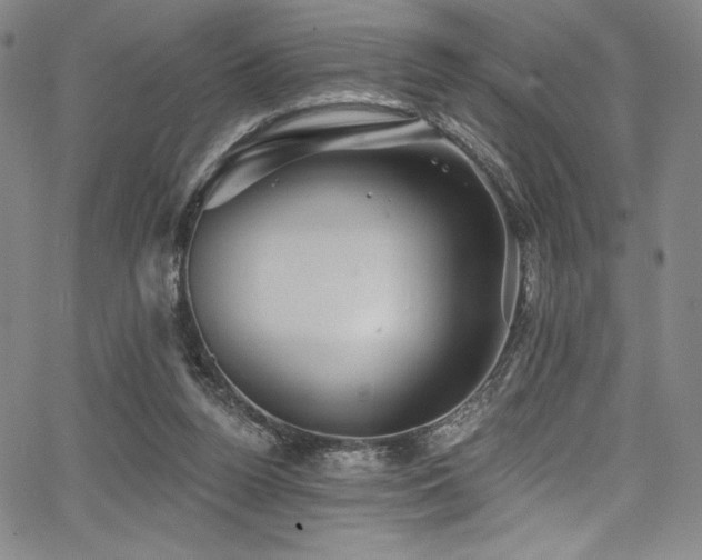 X0000068270160200604211119