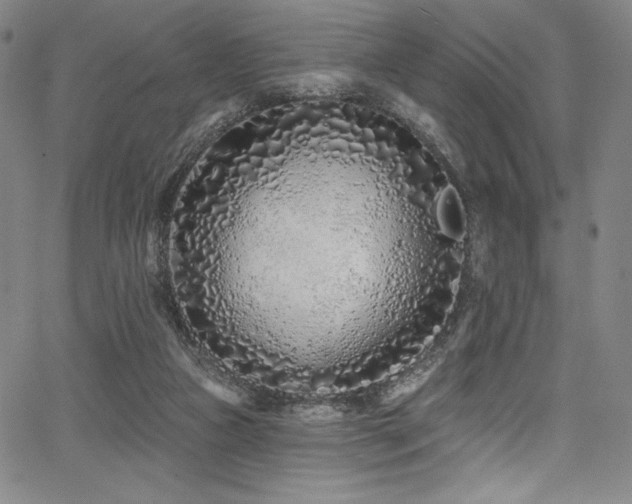 X0000068270161200604211119