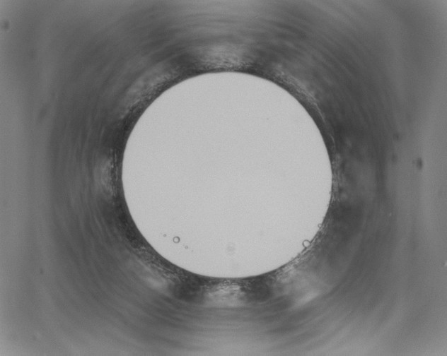 X0000068270162200604211119