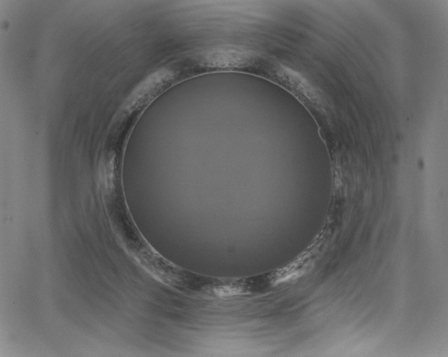 X0000068270163200604211119