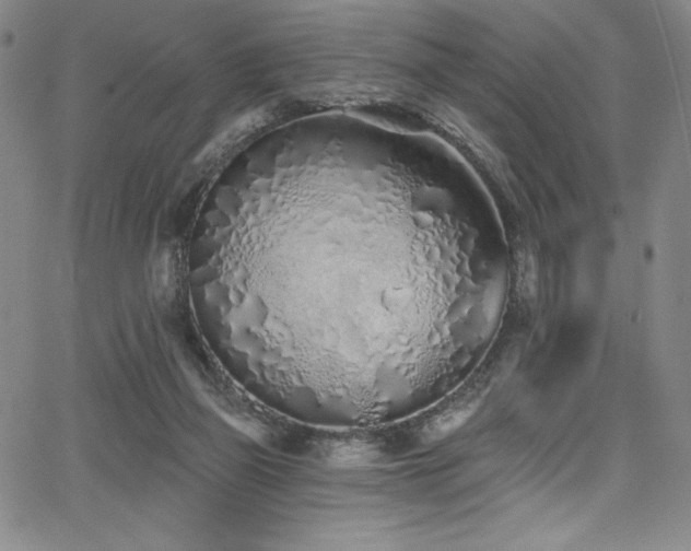 X0000068270165200604211119