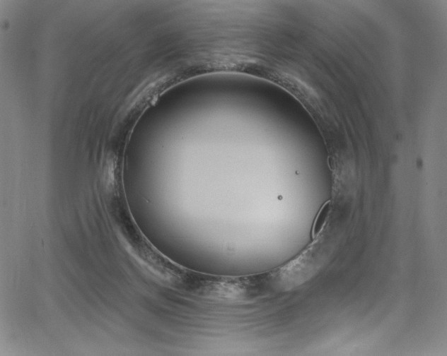 X0000068270166200604211119