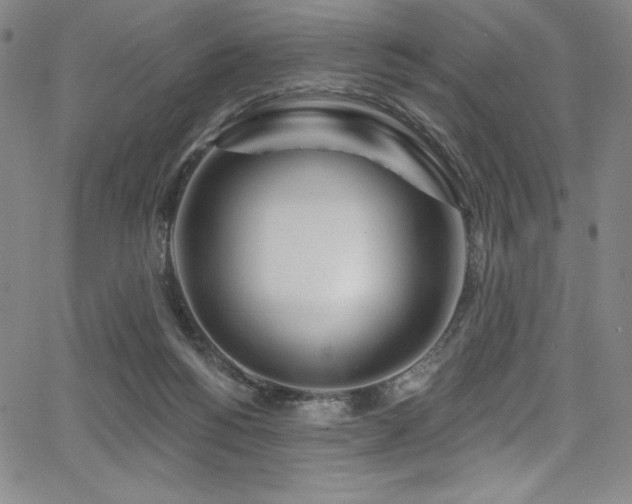 X0000068270168200604211119