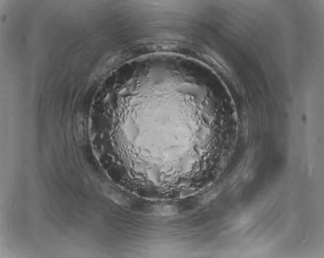 X0000068270169200604211119