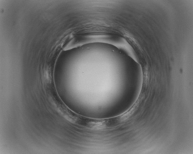 X0000068270170200604211119