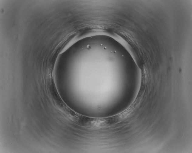 X0000068270172200604211119