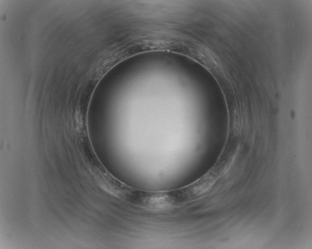 X0000068270173200604211119