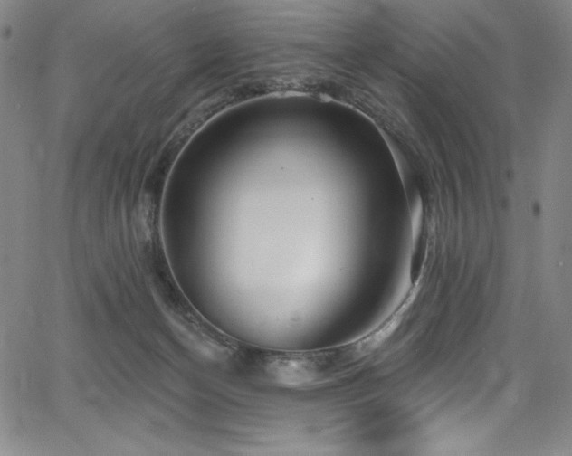 X0000068270174200604211119