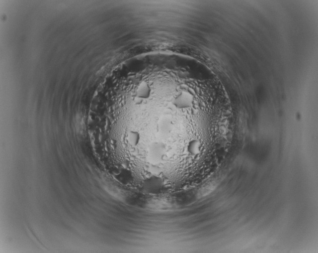 X0000068270177200604211119