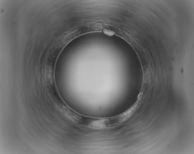 X0000068270178200604211119