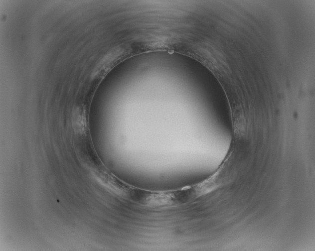 X0000068270179200604211119