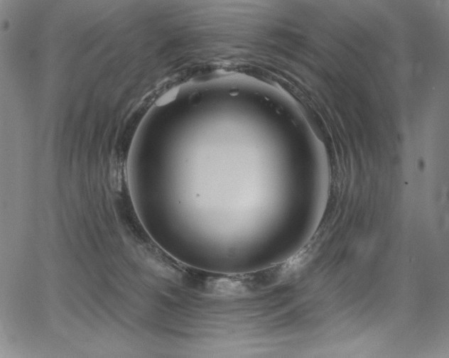 X0000068270180200604211119