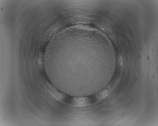 X0000068270181200604211119