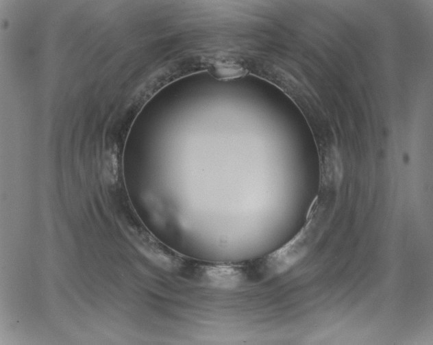 X0000068270183200604211119