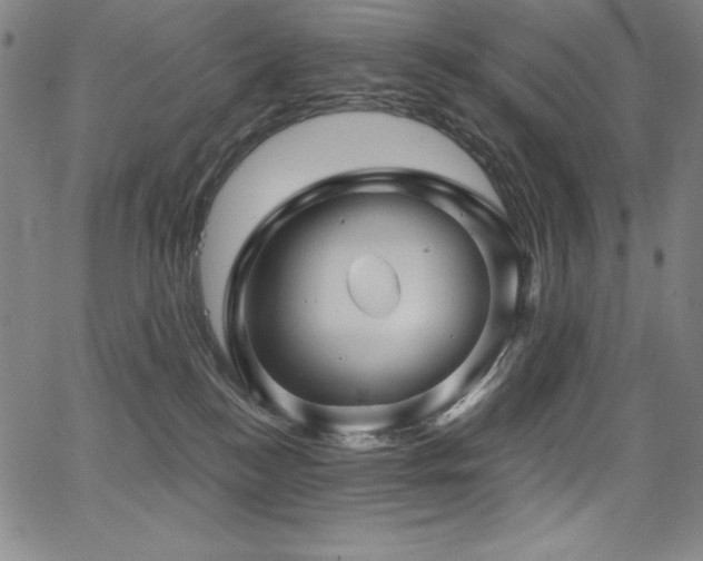 X0000068270184200604211119