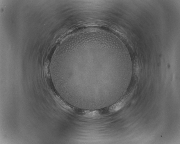 X0000068270185200604211119