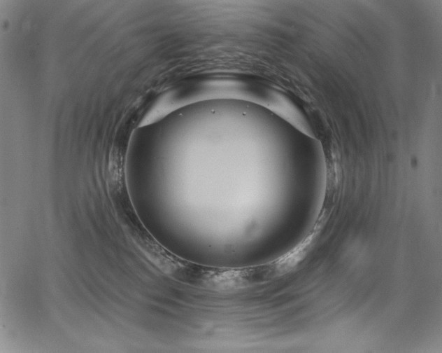 X0000068270186200604211120