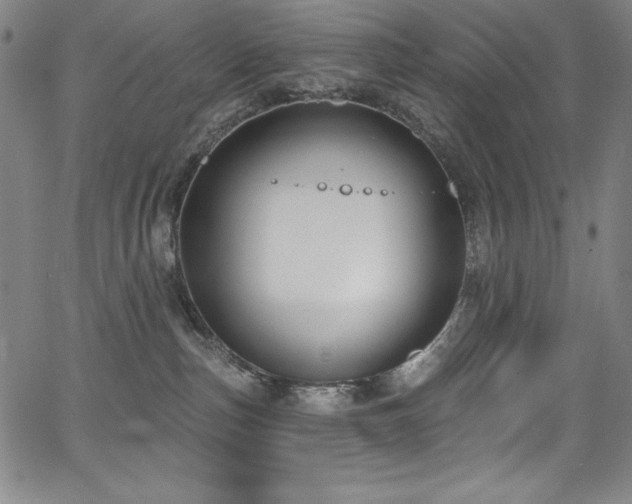 X0000068270187200604211120