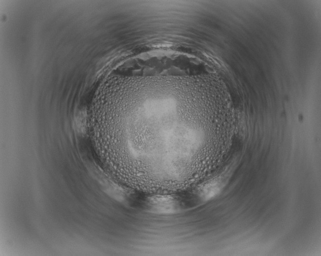 X0000068270189200604211120