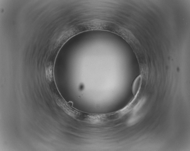 X0000068270190200604211120