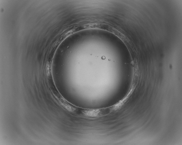 X0000068270191200604211120