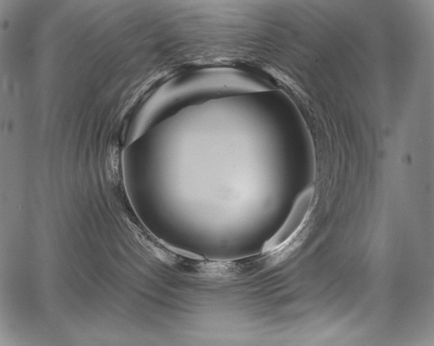 X0000068270192200604211120