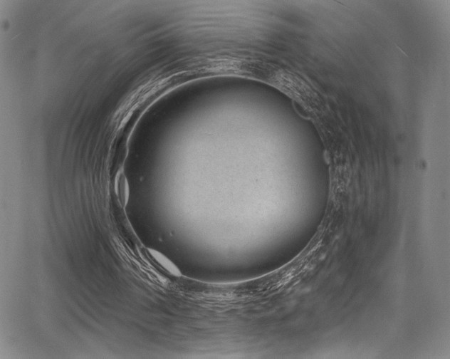 X0000068270194200604211119