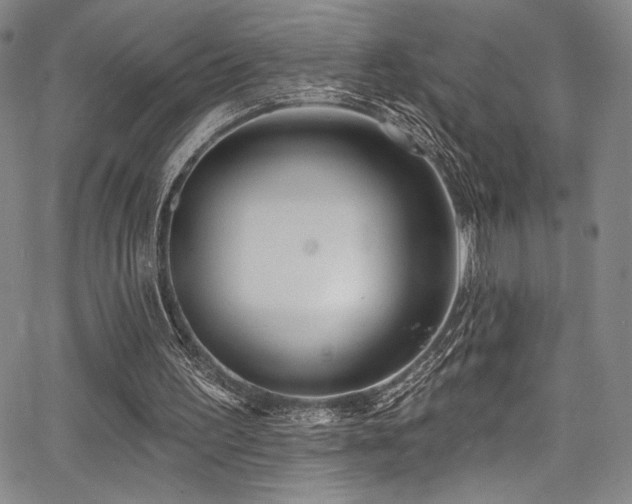 X0000068270195200604211119