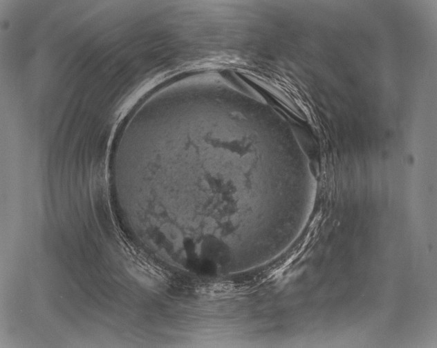 X0000068270196200604211119