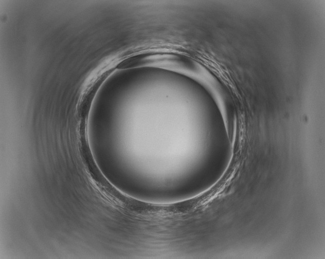 X0000068270197200604211119