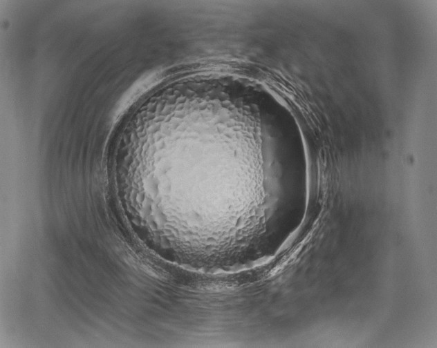 X0000068270198200604211119