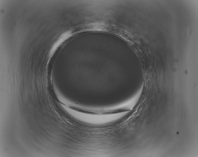 X0000068270200200604211119