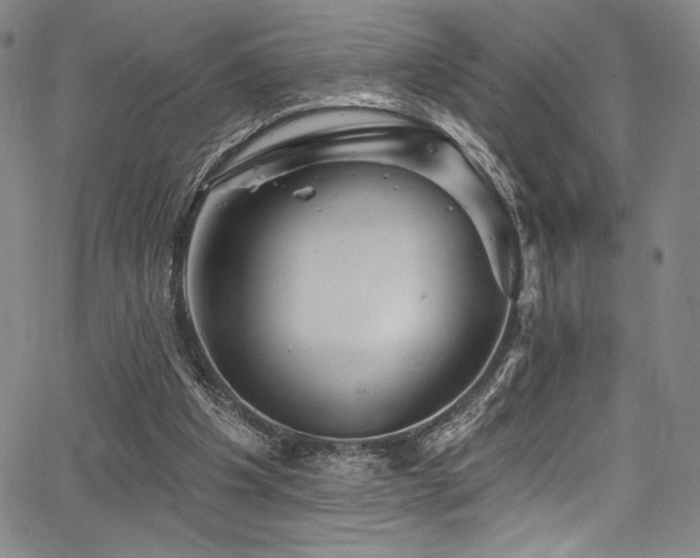 X0000068270201200604211119