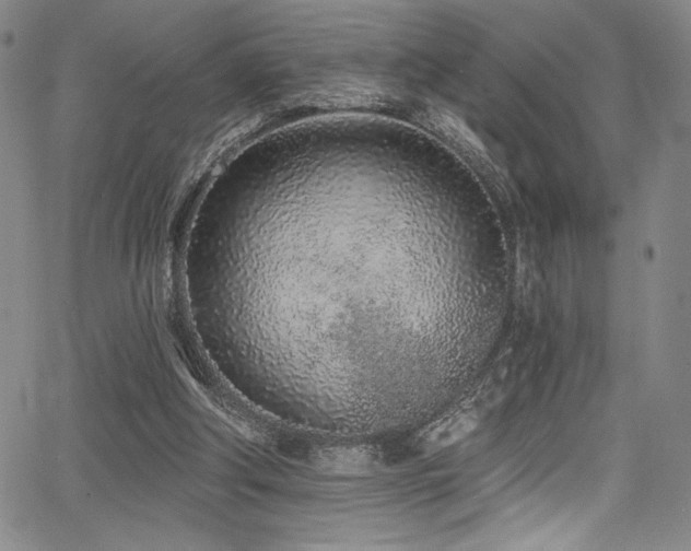 X0000068270202200604211119