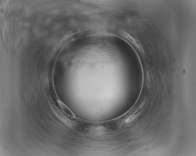 X0000068270203200604211119