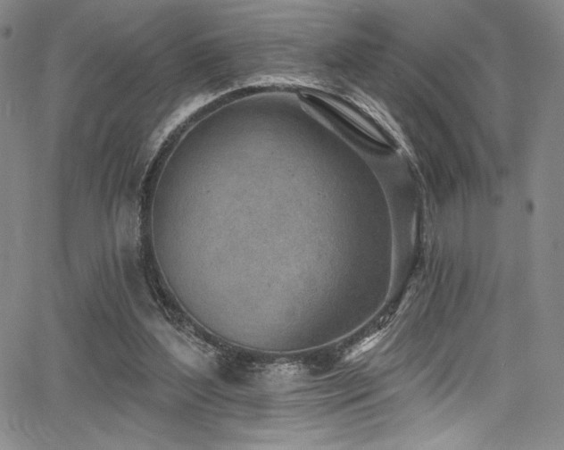 X0000068270204200604211119