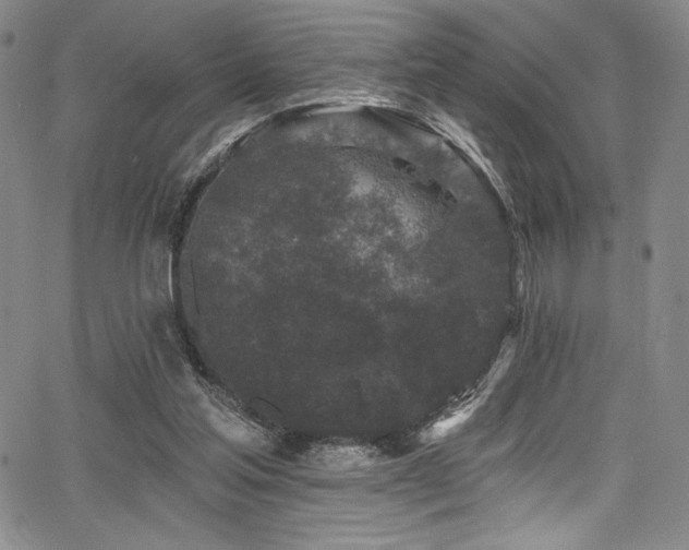 X0000068270205200604211119