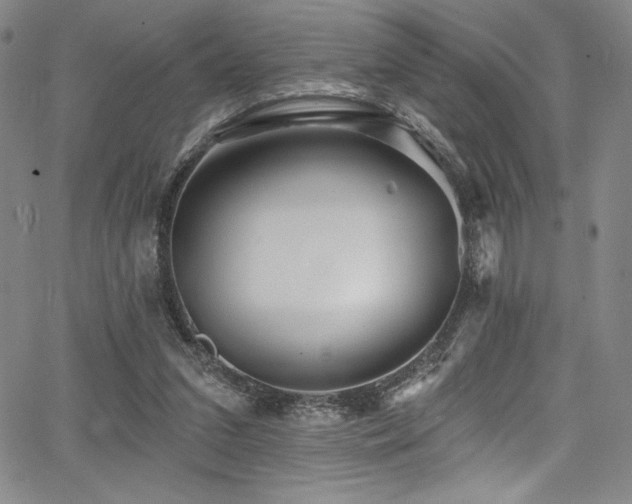 X0000068270207200604211119