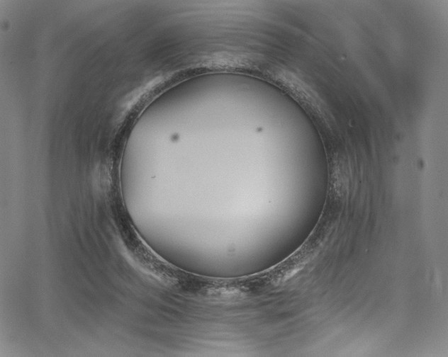 X0000068270208200604211119