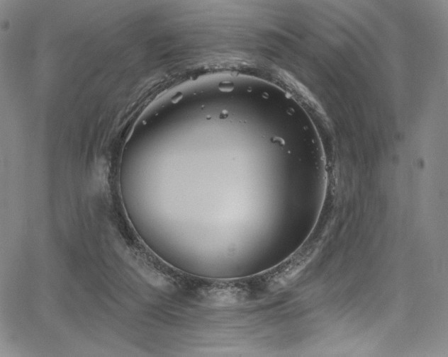 X0000068270209200604211119