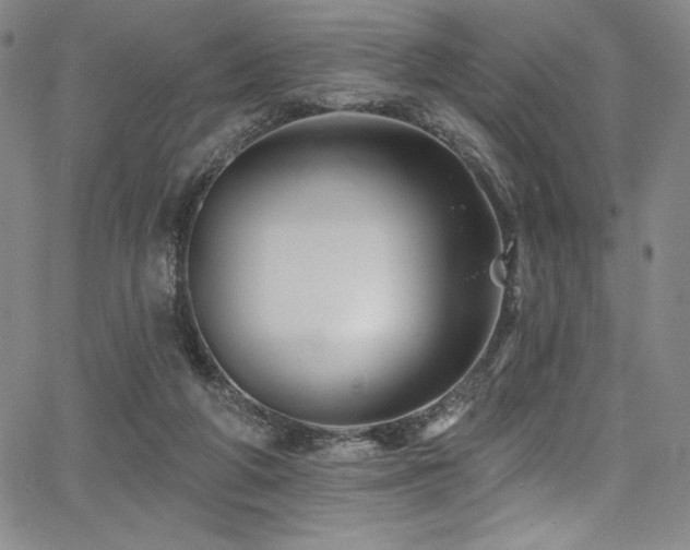 X0000068270210200604211119